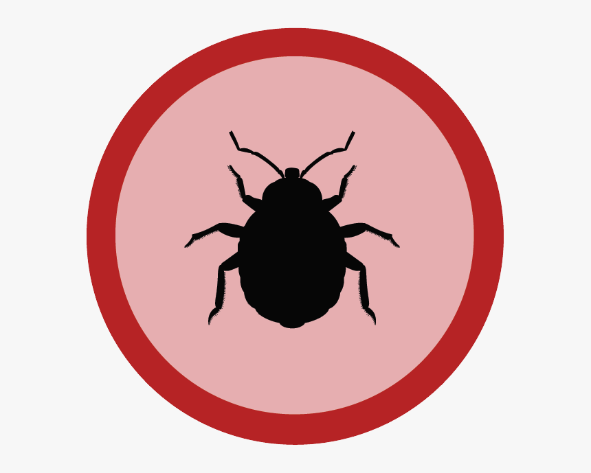 Bed Bug Legs, HD Png Download, Free Download