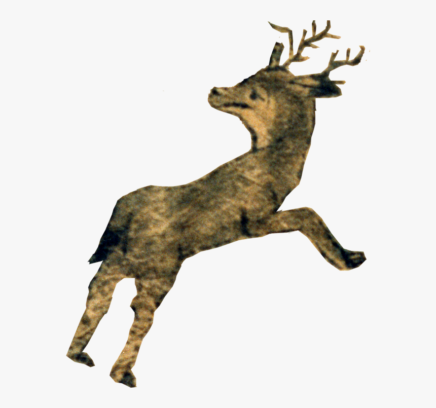 Reindeer, HD Png Download, Free Download