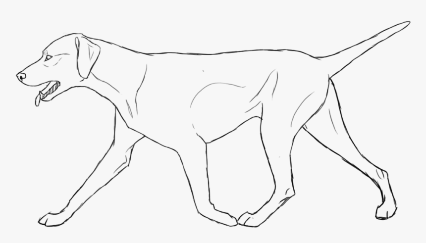 Dog Line Art - Line Art, HD Png Download, Free Download