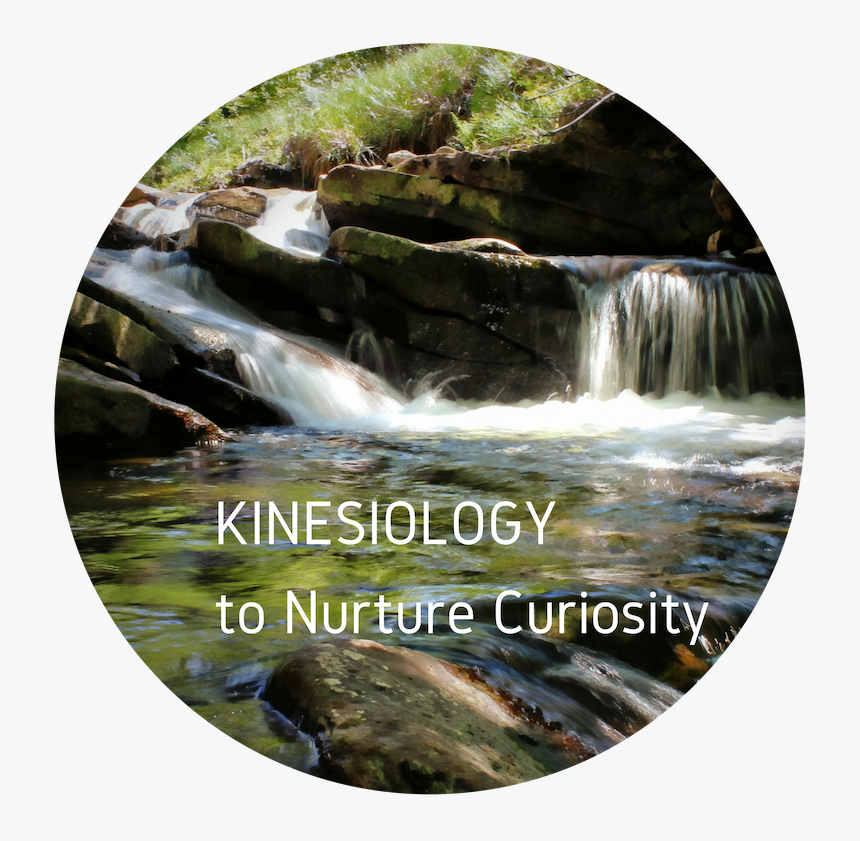 Kinesiology To Nurture Curiosity - Stream, HD Png Download, Free Download