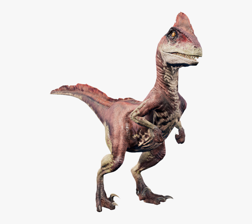   - Jurassic Park Deinonychus, HD Png Download, Free Download