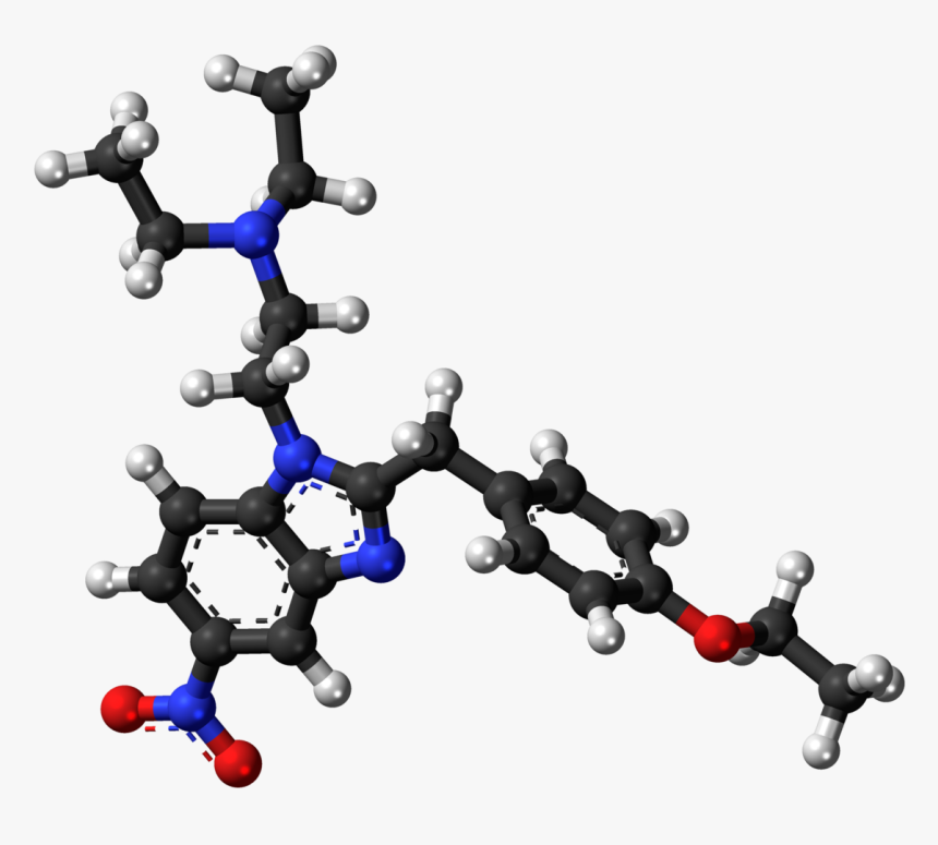 Batrachotoxin Model, HD Png Download, Free Download