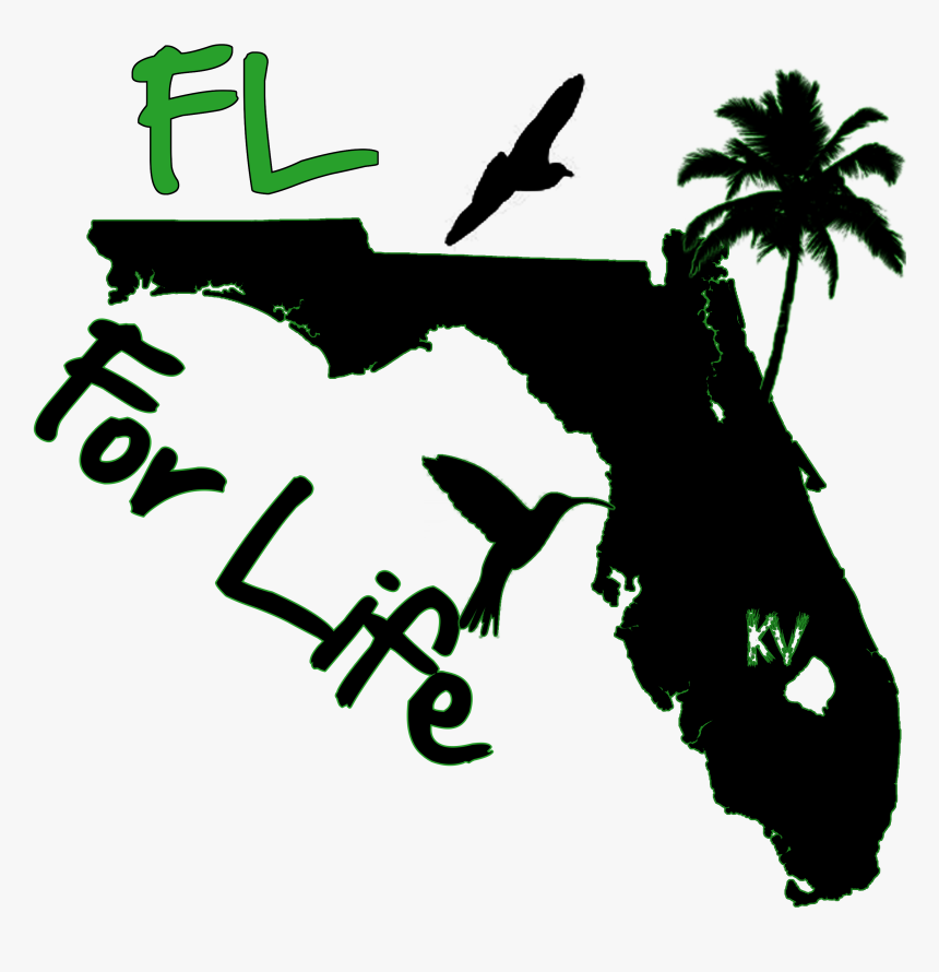 Vlog-vision - Map Of Florida, HD Png Download, Free Download