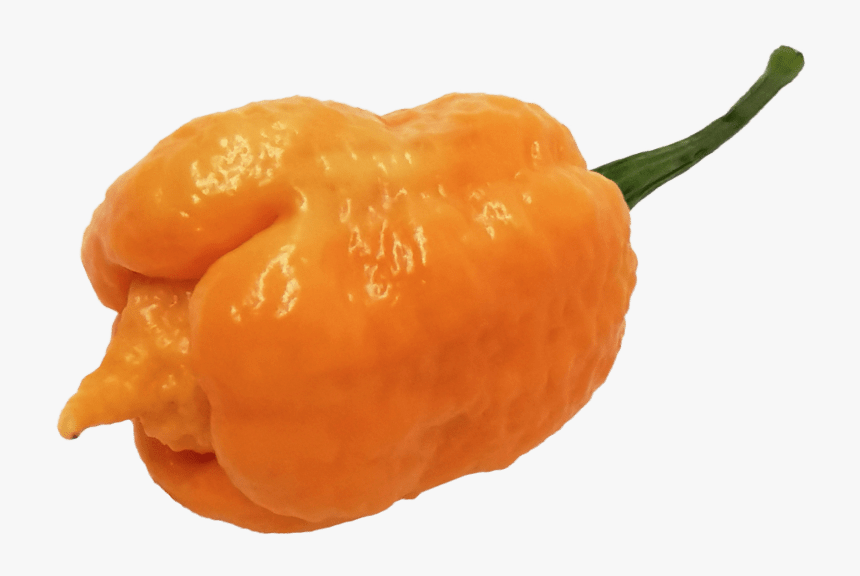 Habanero Chili, HD Png Download, Free Download