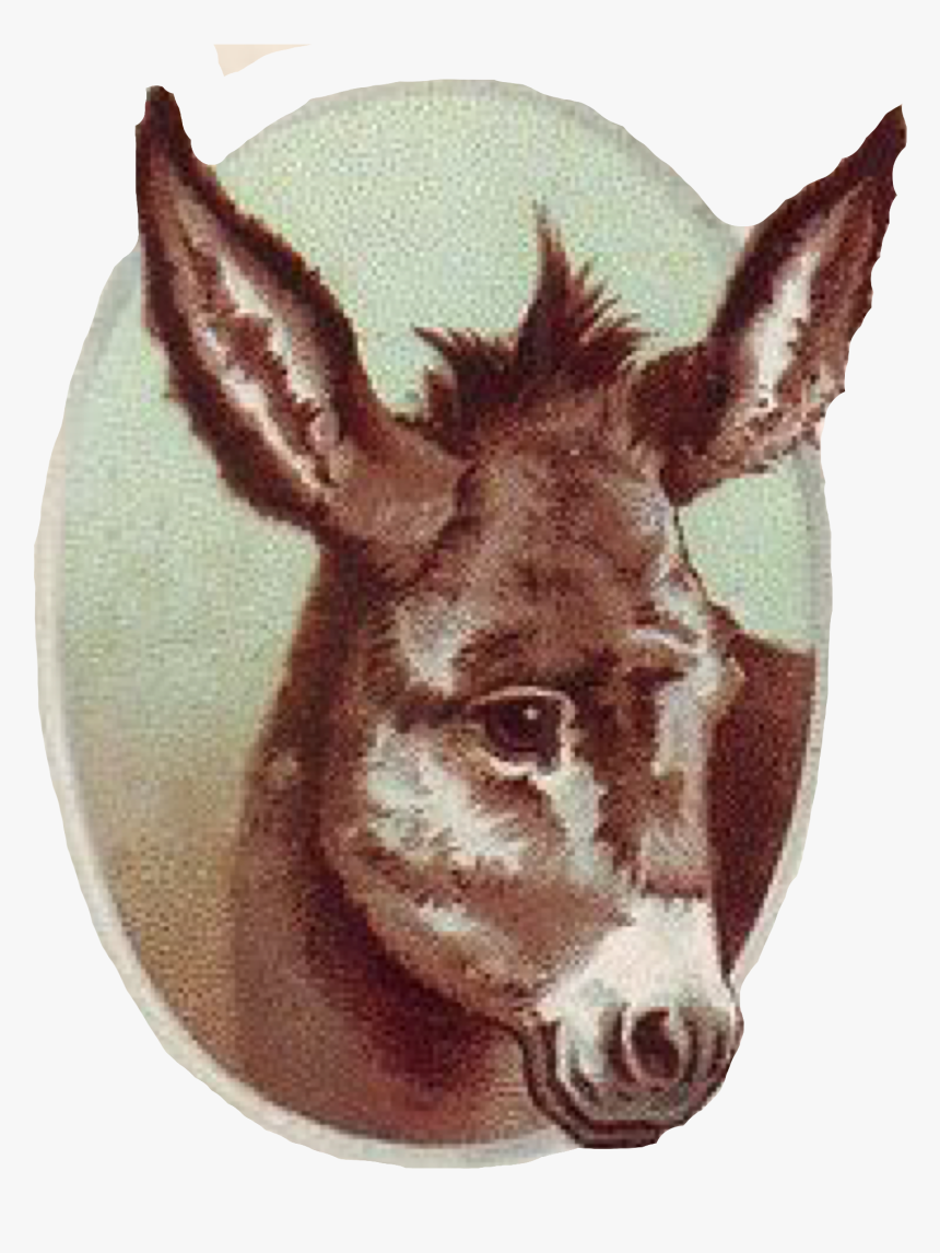 Vintage Donkey Poster, HD Png Download, Free Download