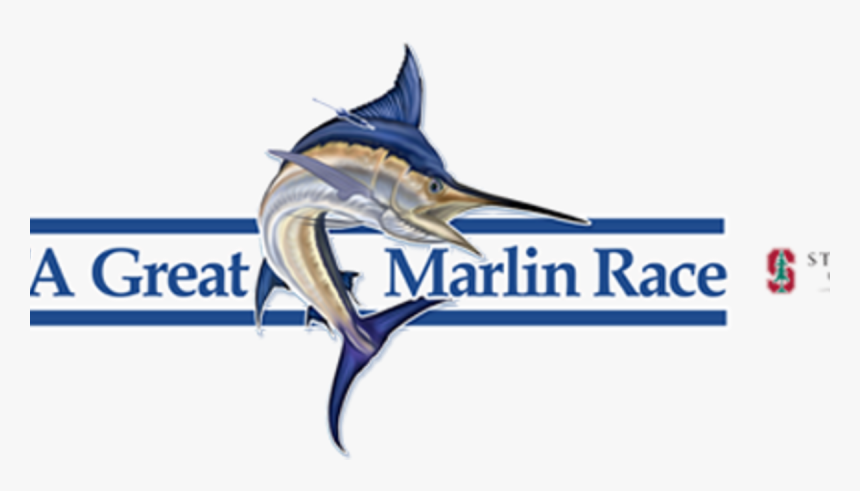 Atlantic Blue Marlin, HD Png Download, Free Download