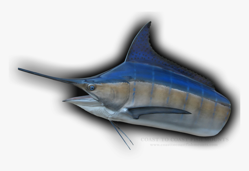 Atlantic Blue Marlin, HD Png Download, Free Download