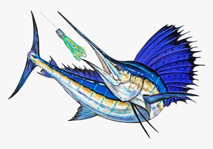 Sail Fish Png, Transparent Png, Free Download