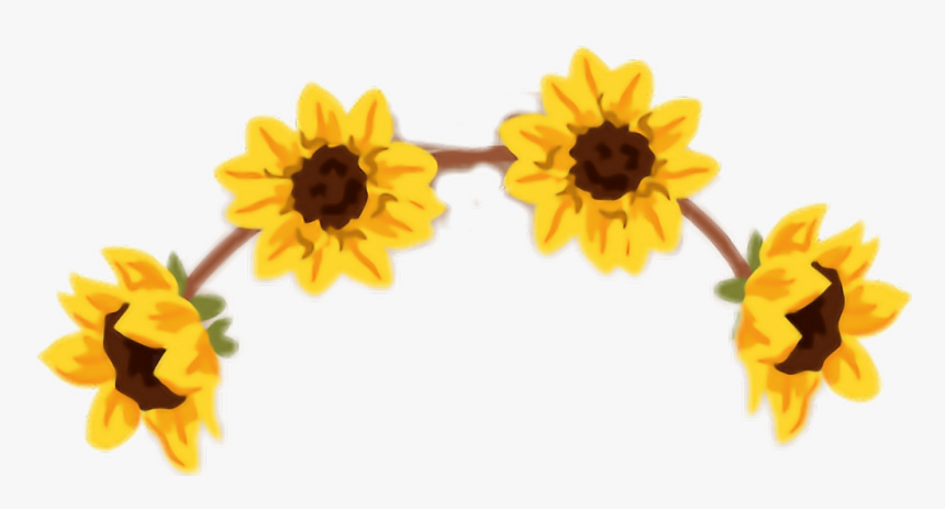 #momio #flowers #auringonkukka #panta - Black-eyed Susan, HD Png Download, Free Download