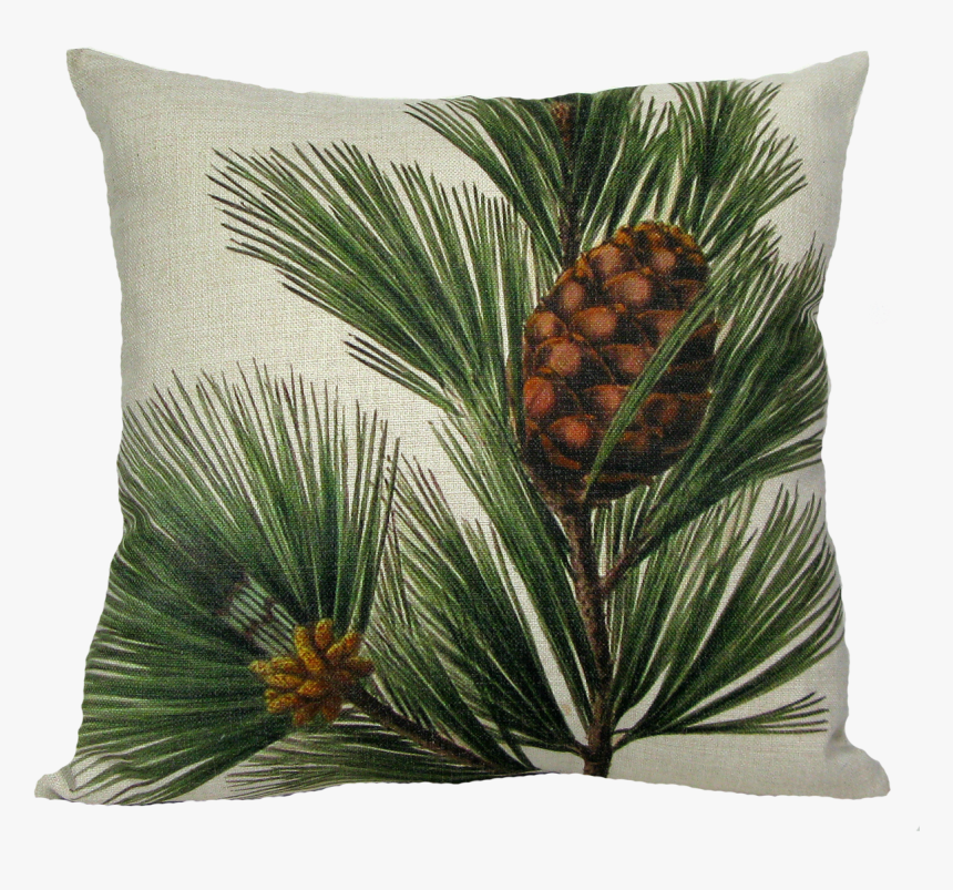 Cushion, HD Png Download, Free Download