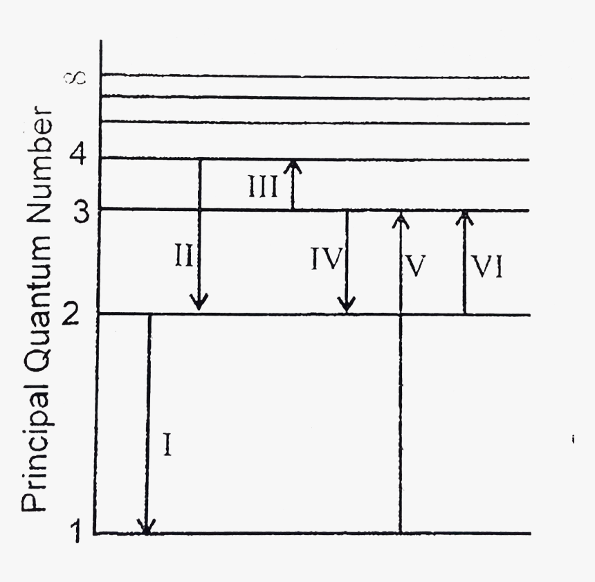 Diagram, HD Png Download, Free Download