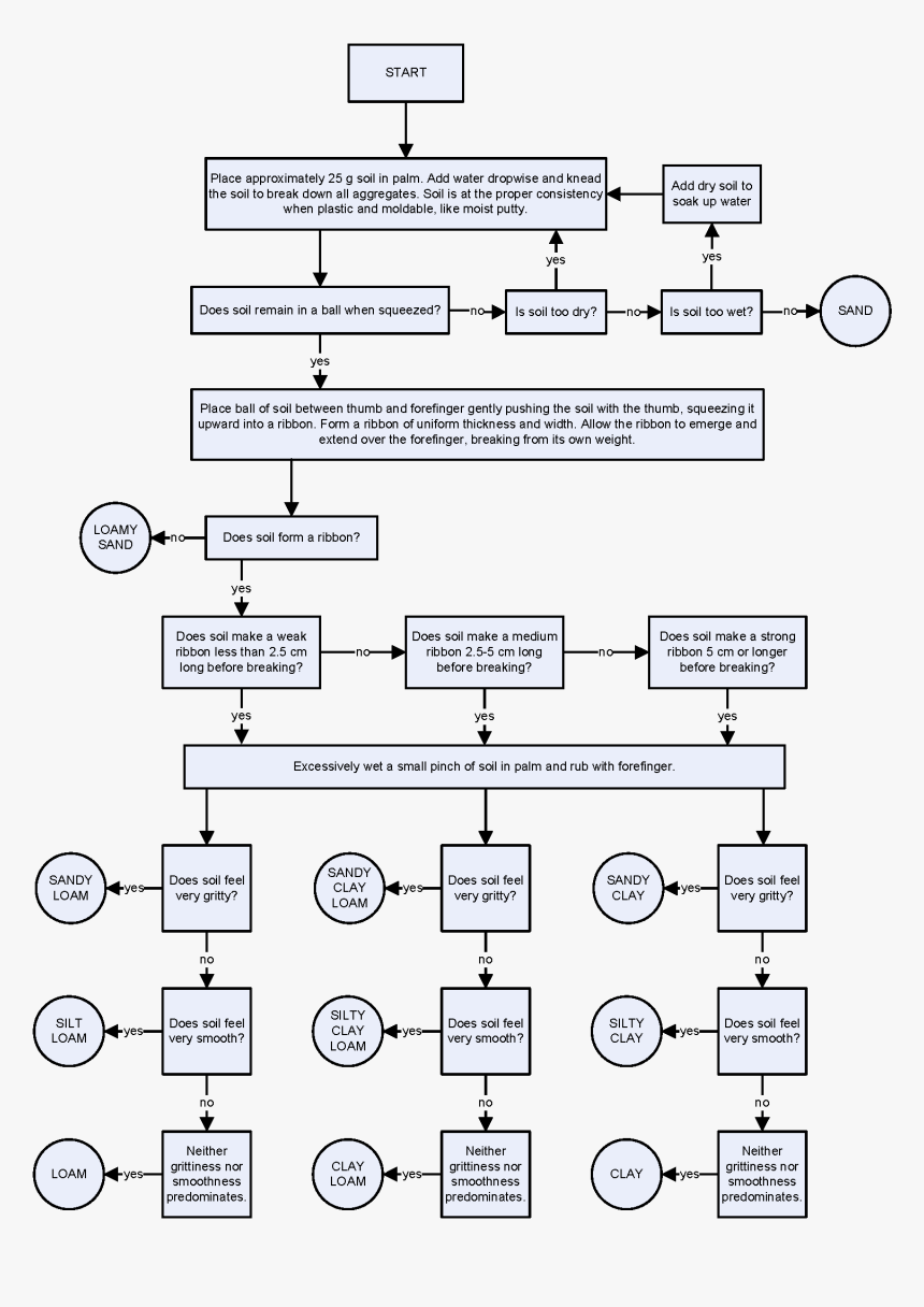 Texture By Feel - Flow Chart Of Soil, HD Png Download, Free Download