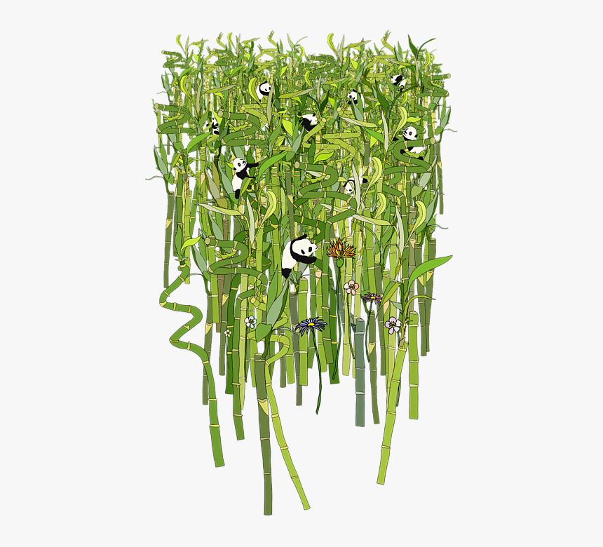 Grass, HD Png Download, Free Download