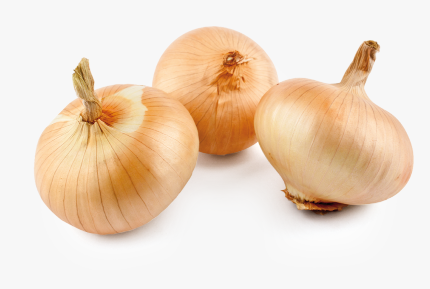 Sweet Onion - Usos De La Cebolla, HD Png Download, Free Download