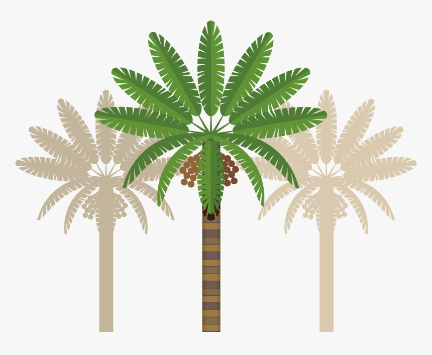 Leaves Clipart Coconut Tree - Clip Art, HD Png Download, Free Download