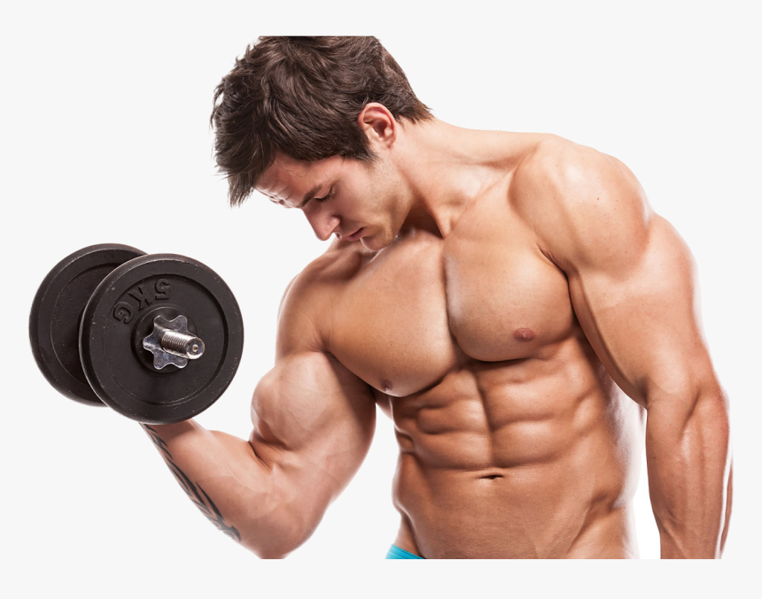 Fitness Model Male Arms, HD Png Download, Free Download