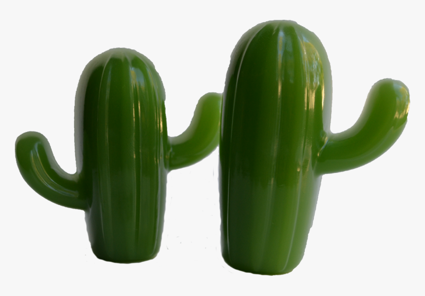 San Pedro Cactus, HD Png Download, Free Download