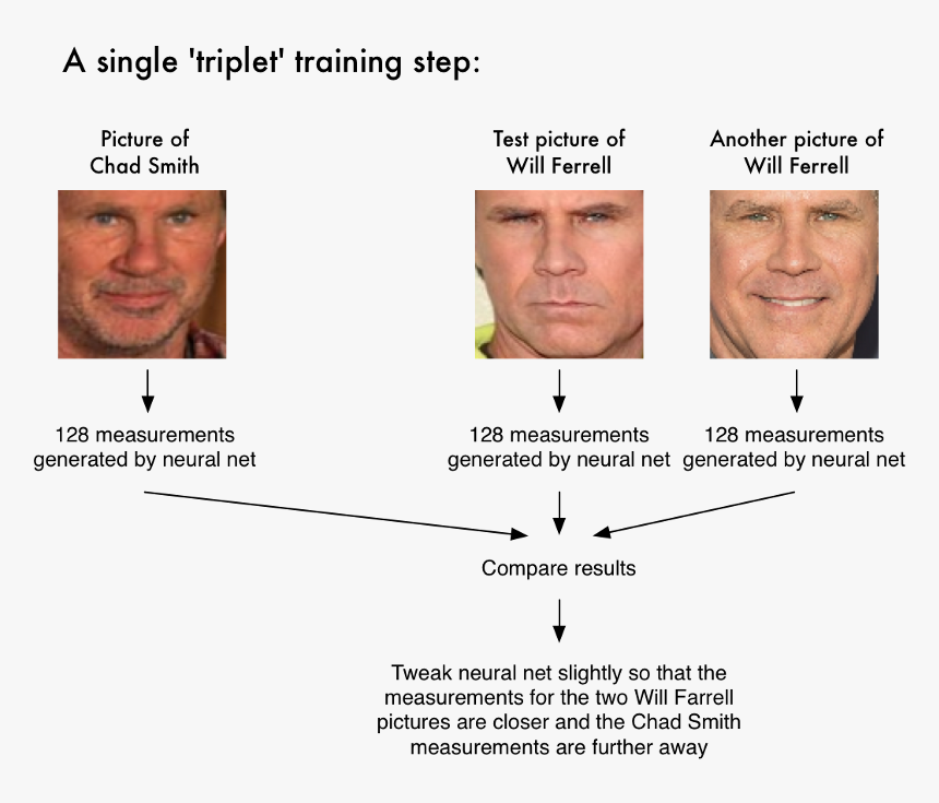 Steps Of Facial Recognition, HD Png Download, Free Download