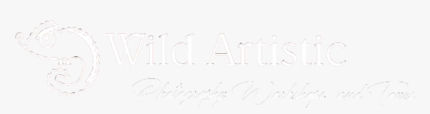 Calligraphy, HD Png Download, Free Download