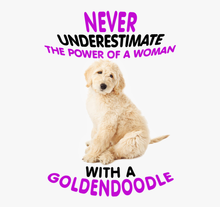 Golden Retriever, HD Png Download, Free Download