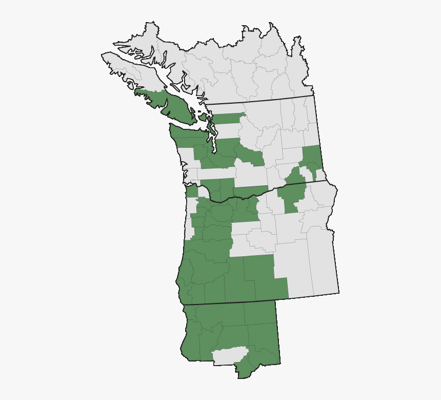 Evergreen Huckleberry Range Map, HD Png Download, Free Download