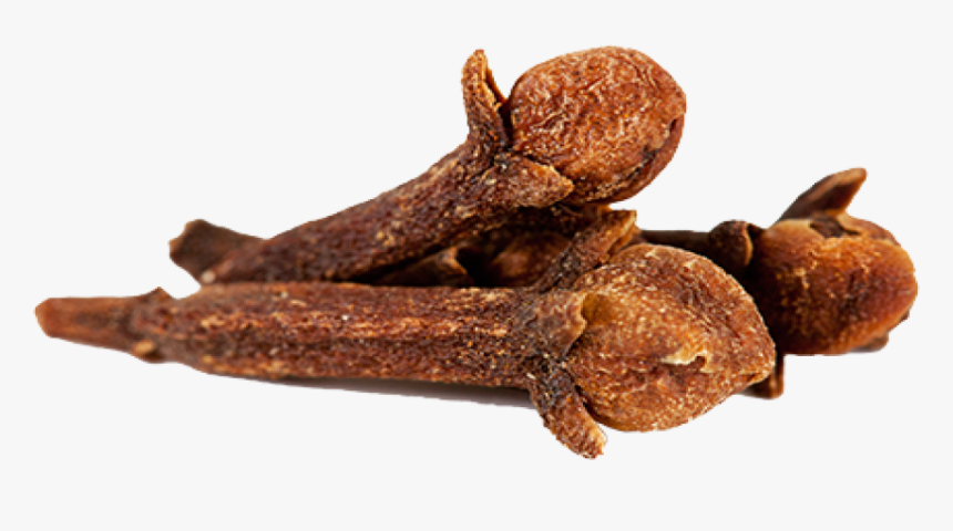 Clove Png, Transparent Png, Free Download