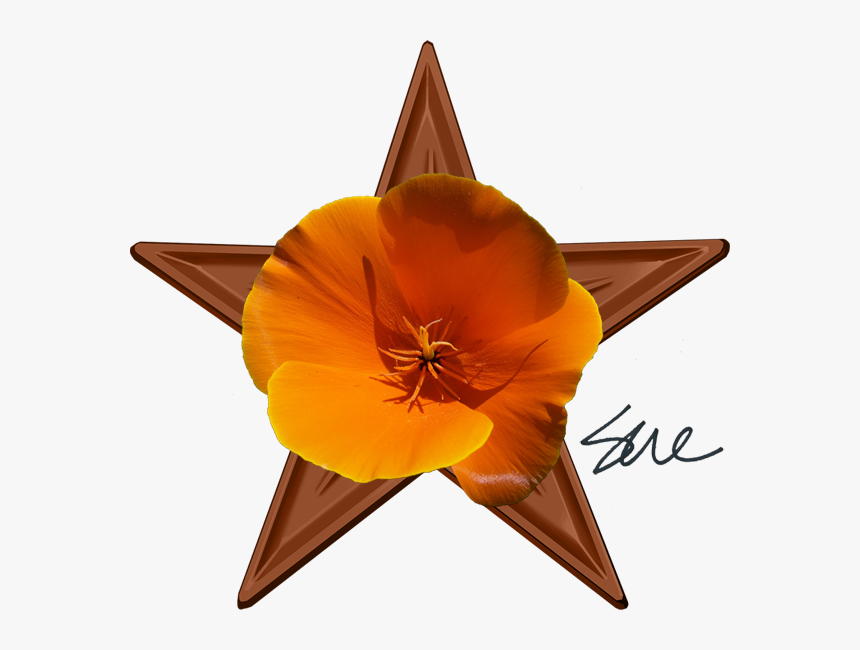 Sue"s Barnstar - Global Warming Climate Change Symbols, HD Png Download, Free Download