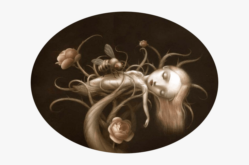 Coccoon Girl Tree Flower Bee Sleeping Beauty Fantasy - Nicoletta Ceccoli Artwork, HD Png Download, Free Download