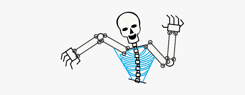 How To Draw Skeleton - Drawing Cartoon Skeleton Body, HD Png Download, Free Download