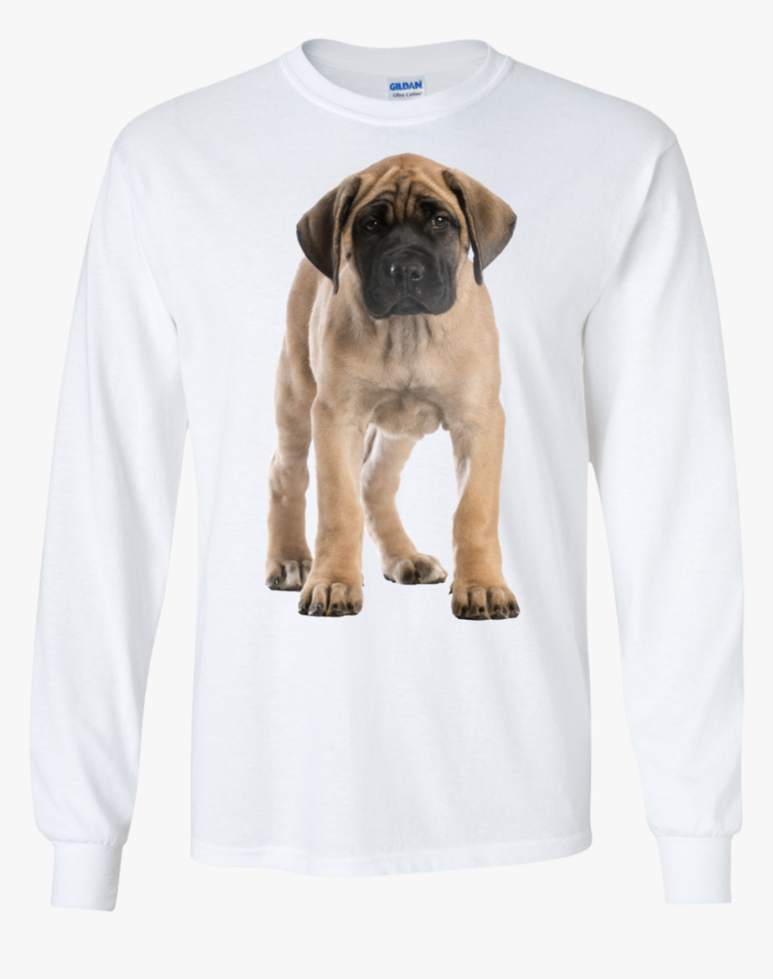 Mastiff Cuccioli Inglesi, HD Png Download, Free Download