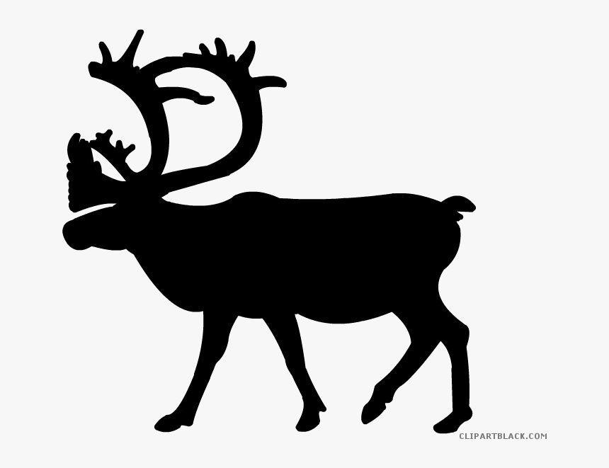 Clip Art Vector And - Deer And Reindeer Size Comparison, HD Png Download, Free Download