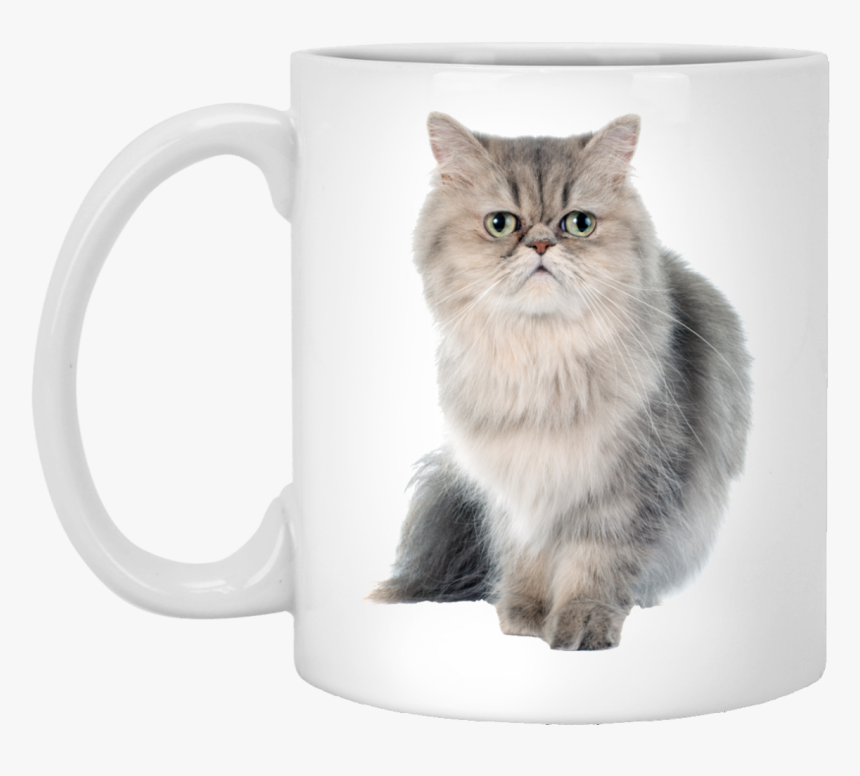 Persian Cat, HD Png Download, Free Download