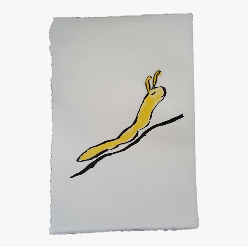 3 - Image Png - Slug, Transparent Png, Free Download