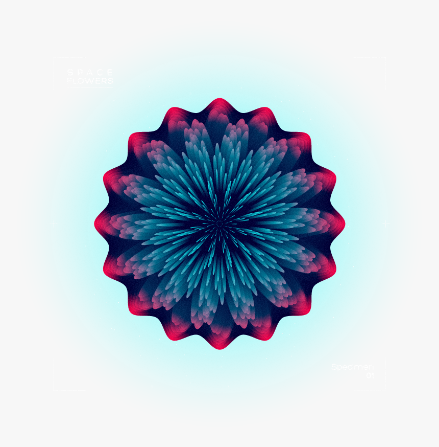 Paper Flower Png, Transparent Png, Free Download