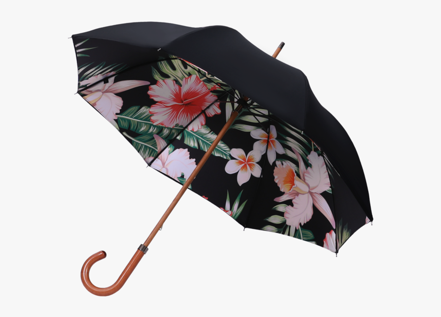 Umbrella, HD Png Download, Free Download