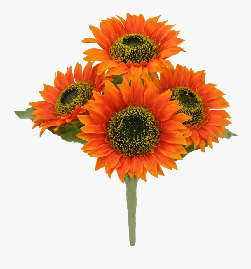 11 - Bouquet, HD Png Download, Free Download