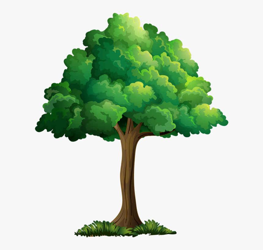 Transparent Plant Cartoon Png - Realistic Tree Cartoon Drawing, Png Download, Free Download