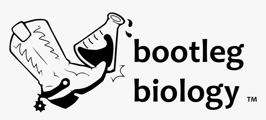 Back Home - Bootleg Biology Logo, HD Png Download, Free Download