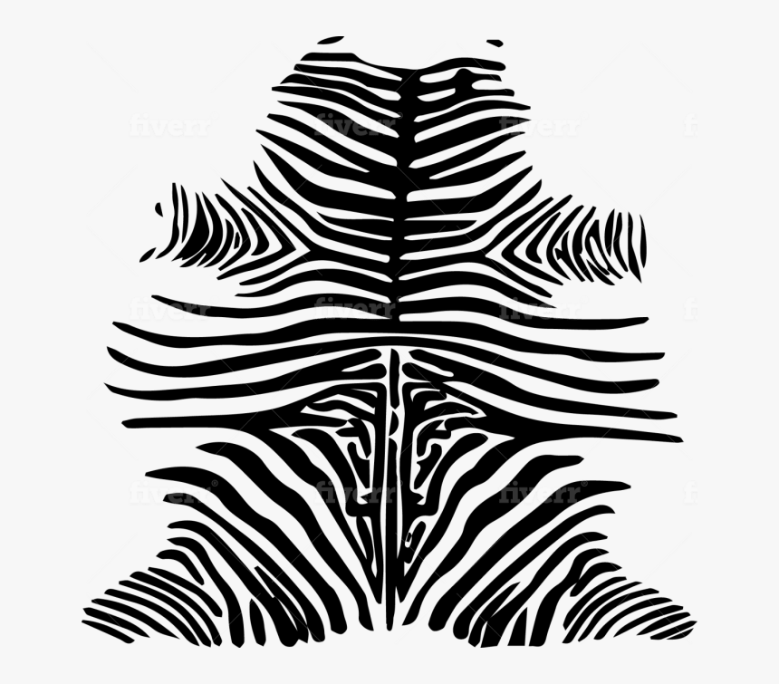 Zebra, HD Png Download, Free Download