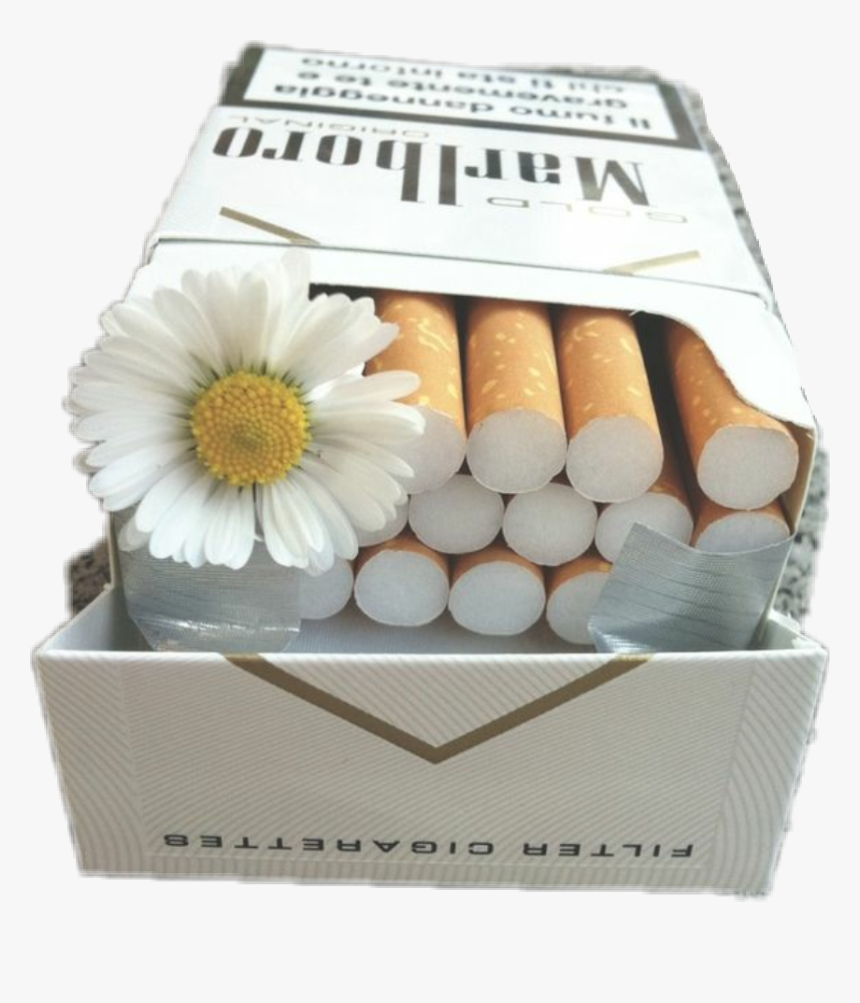 #cigarette #grunge #flower #aesthetic #badgirl #malboro - Flowers In Cigarette Box, HD Png Download, Free Download