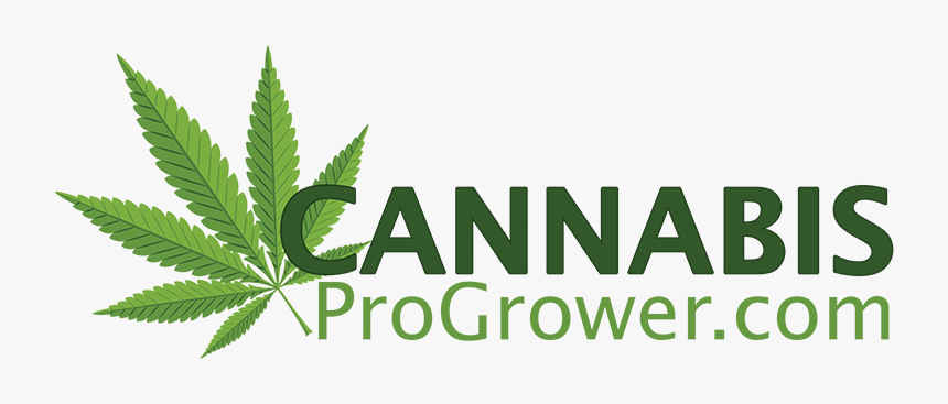 Marijuana Leaf, HD Png Download, Free Download