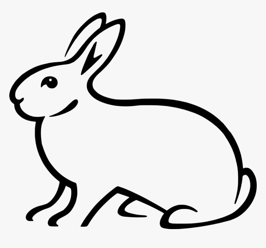 Domestic Rabbit, HD Png Download, Free Download