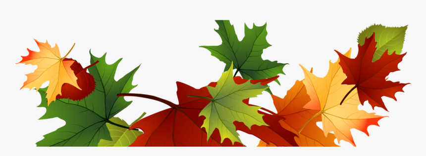 Autumn Leaves Clipart Transparent Background, HD Png Download, Free Download