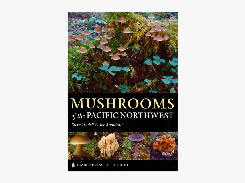 Mushrooms Of The Pacific Northwest"

 
 Data Rimg="lazy"
 - Mushrooms Of The Pacific Northwest, HD Png Download, Free Download