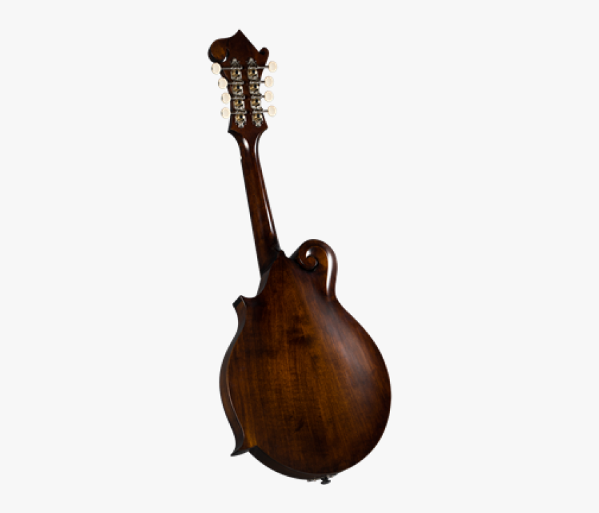 Bass Guitar, HD Png Download, Free Download