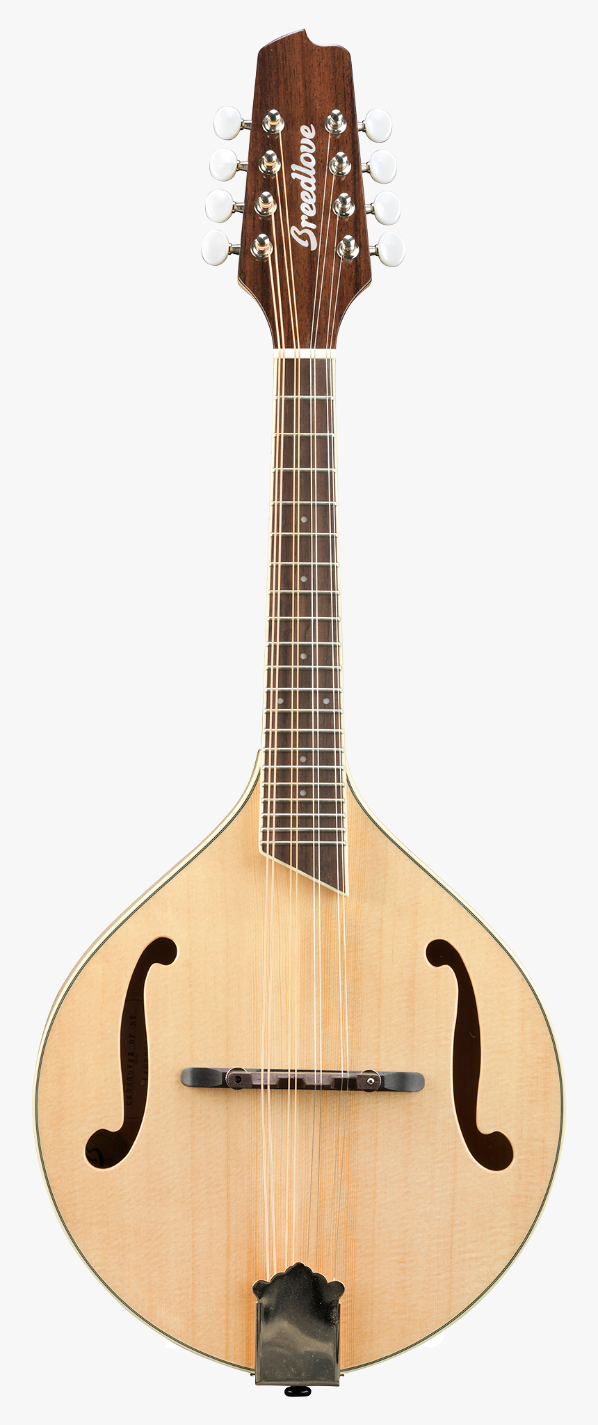 Maton Electric Acoustic Guitars, HD Png Download, Free Download