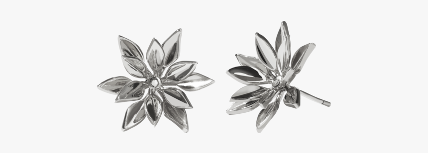 Earrings, HD Png Download, Free Download