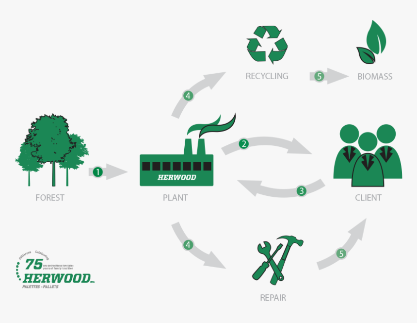 Herwood Wooden Pallet Life Cycle - Recycling, HD Png Download, Free Download