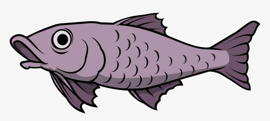 Catfish, HD Png Download, Free Download