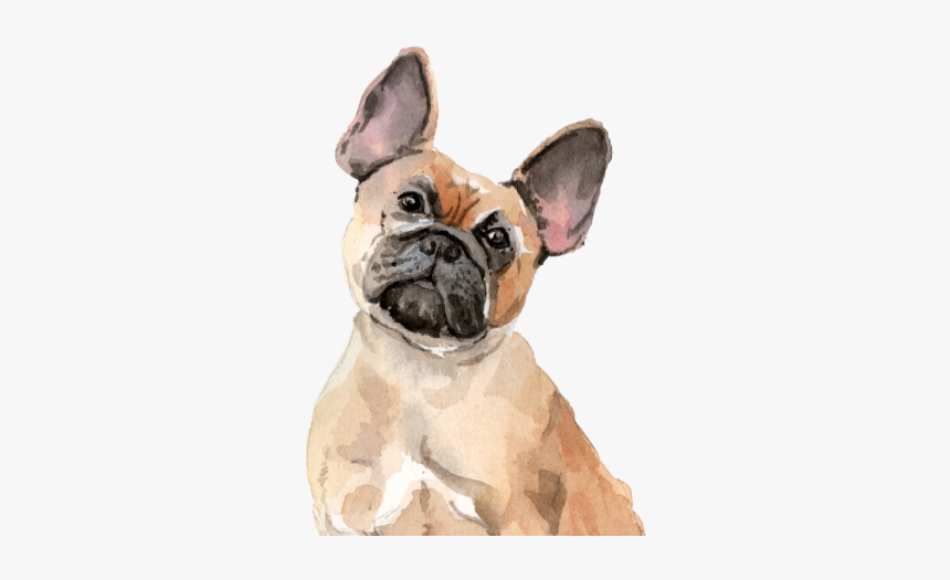 Dog Tote Bag - Funny Poems About Your Dog French Bulldog, HD Png Download, Free Download